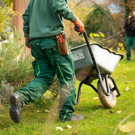 Landscaping/Exterior