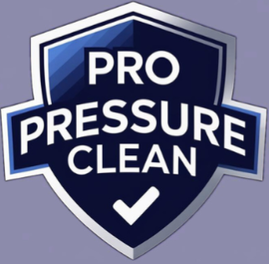 Pro Pressure Clean logo