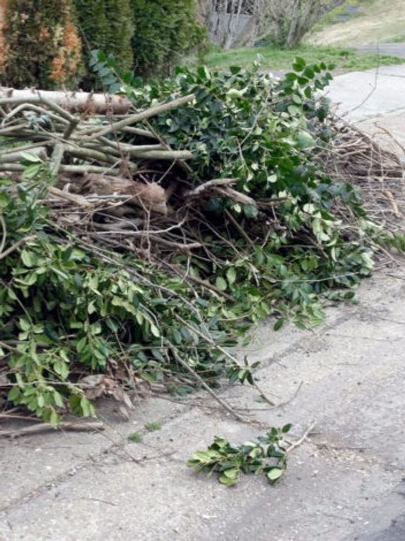 Yard Debris