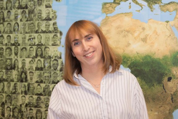 Professional groomer gently trims a Persian cat, highlighting pet care indoors.