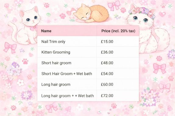 Online Booking and prices