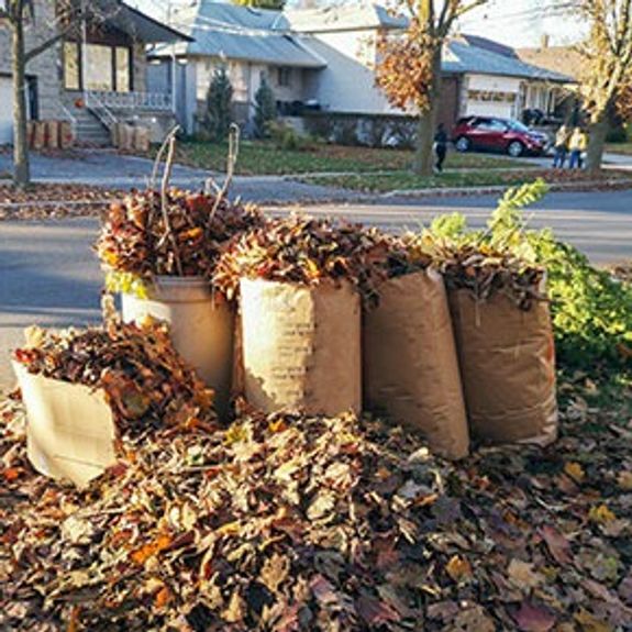 Do I need to bag my yard waste before pick-up?