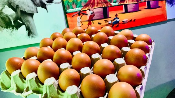Farm-fresh Eggs and Pork Straight from Our Farm to Your Table