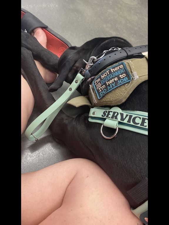 Service Dog Training