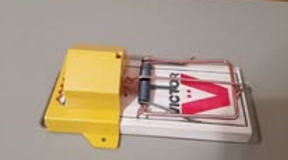 Get Back to Enjoying Your Living Space in Mayfield, Ohio.