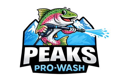 Peaks Pro Wash logo