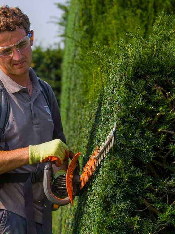 Hedge Trimming