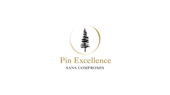 Découvrez Pin Excellence dans le Média - NEWSWIRE