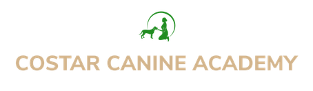 COSTAR CANINE ACADEMY logo