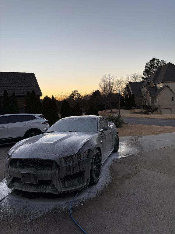 Prestige Full Package Detail