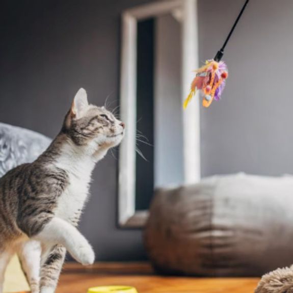 Playtime
