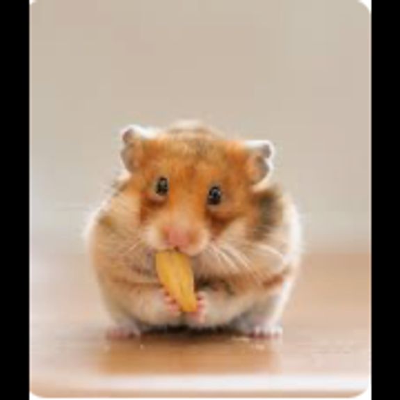 Feeding