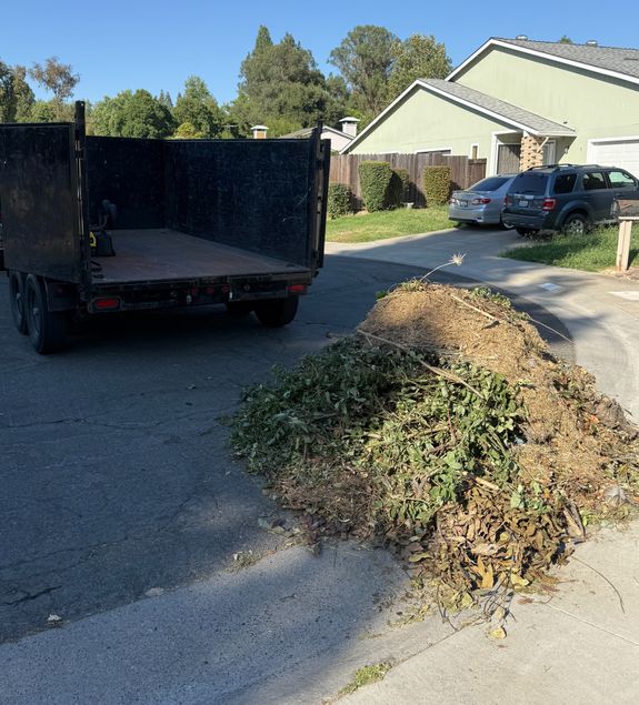 Yard Waste Cleanup