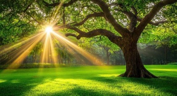 Experience Holistic Spiritual Counselling in Perth, WA