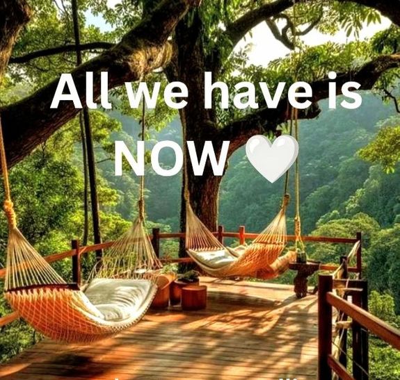 How can I book a session?