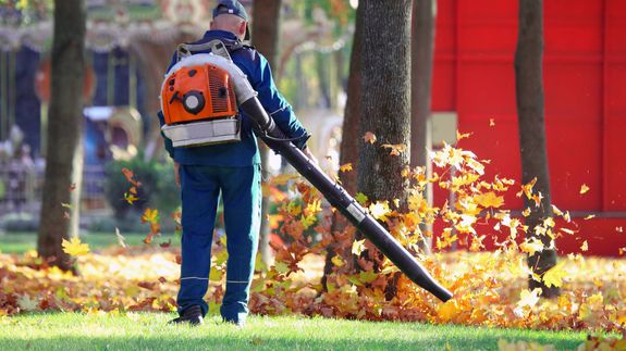 Transform Your Yard Today.