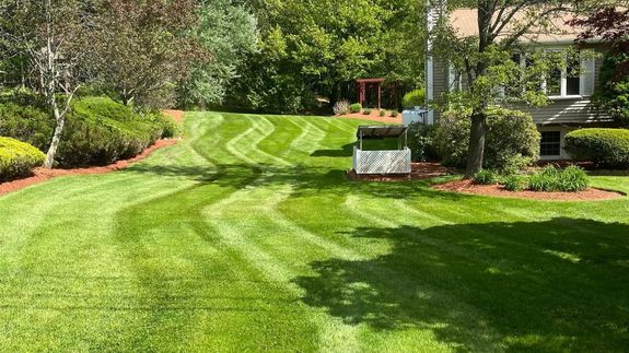 Transform Your Yard, Simplify Your Life.