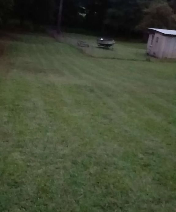 Transform Your Lawn into a Green Paradise with ProGro Environmental Services