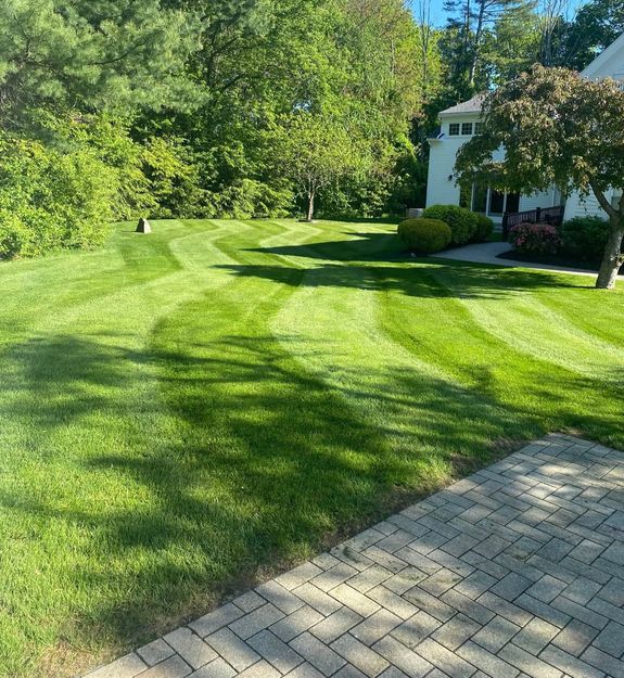 Transform Your Lawn with ProGro Environmental Services in Temple, GA