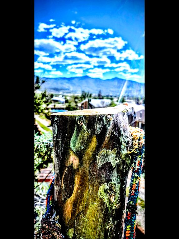 15 Years of Expertise