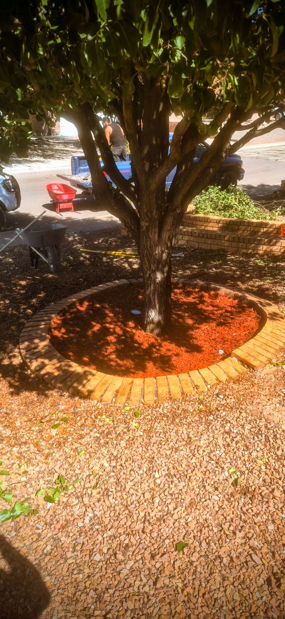 Comprehensive Services