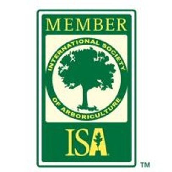 Expert Tree Care and removal Services in Alamogordo, NM