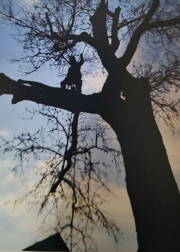 Consultation and Care Plans