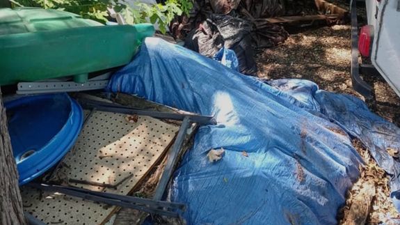 Your Yard Deserves a Clean Start