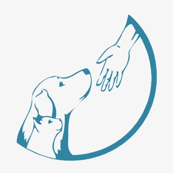 What services does Must Love Dogs & Cats LLC offer?