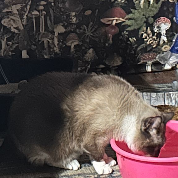 Boarding is in our home.